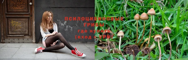 экстази Вяземский