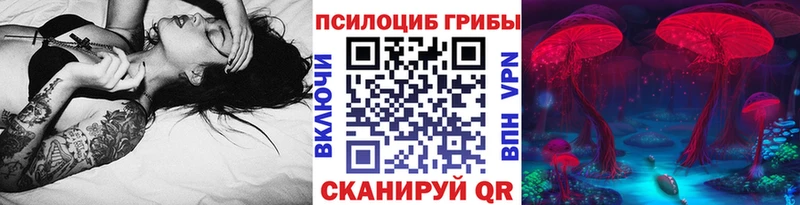 сколько стоит  Чегем  Галлюциногенные грибы MAGIC MUSHROOMS 